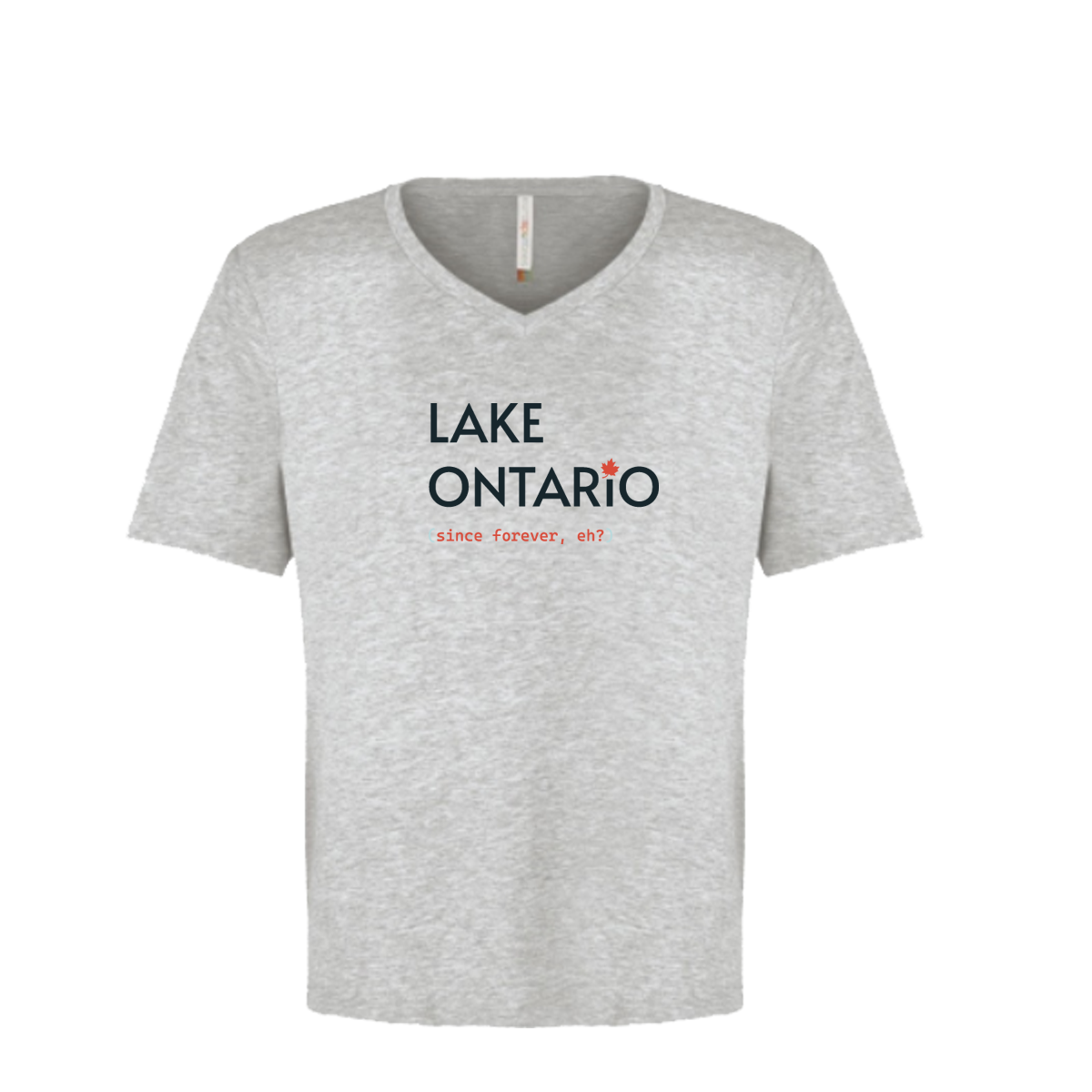 Premium comfortable soft V-neck T-shirt - Men's