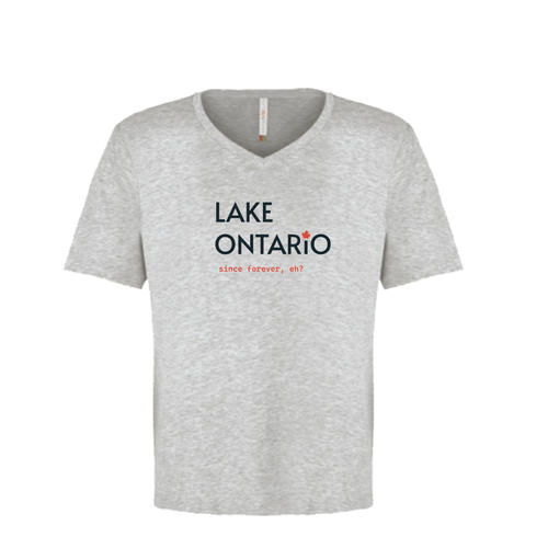 Premium comfortable soft V-neck T-shirt - Men's