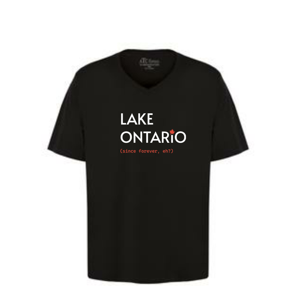 Premium comfortable soft V-neck T-shirt - Men's