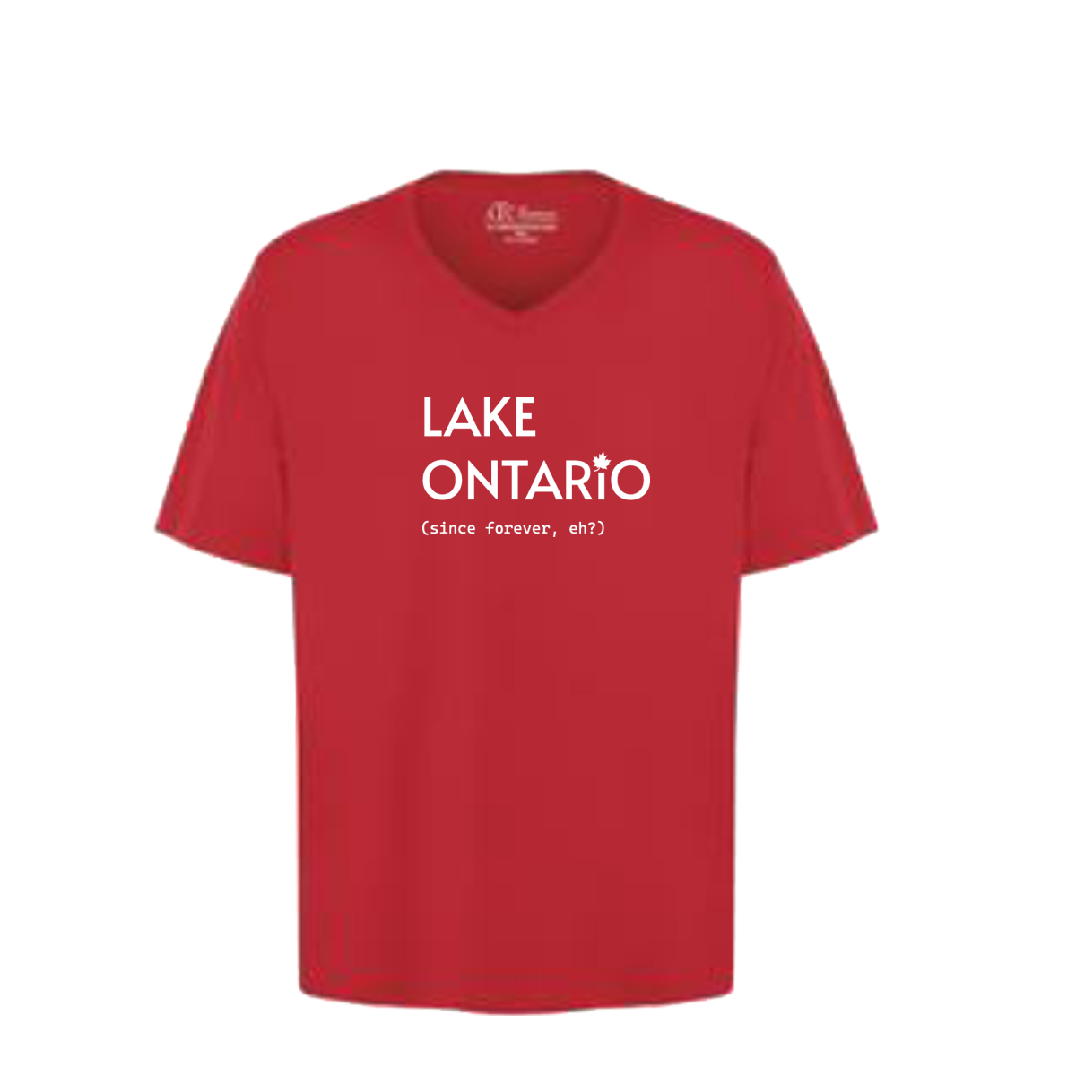 Premium comfortable soft V-neck T-shirt - Men's