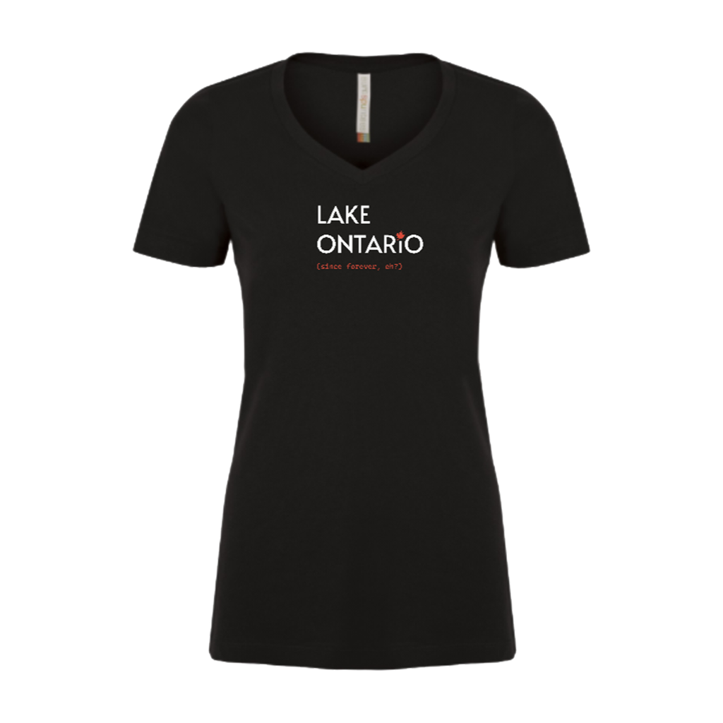 Premium comfortable soft V-neck T-shirt - Women's