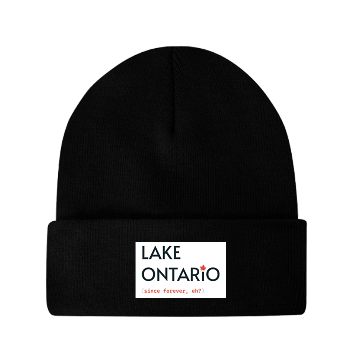 Warm fleece lined knit cuff toque