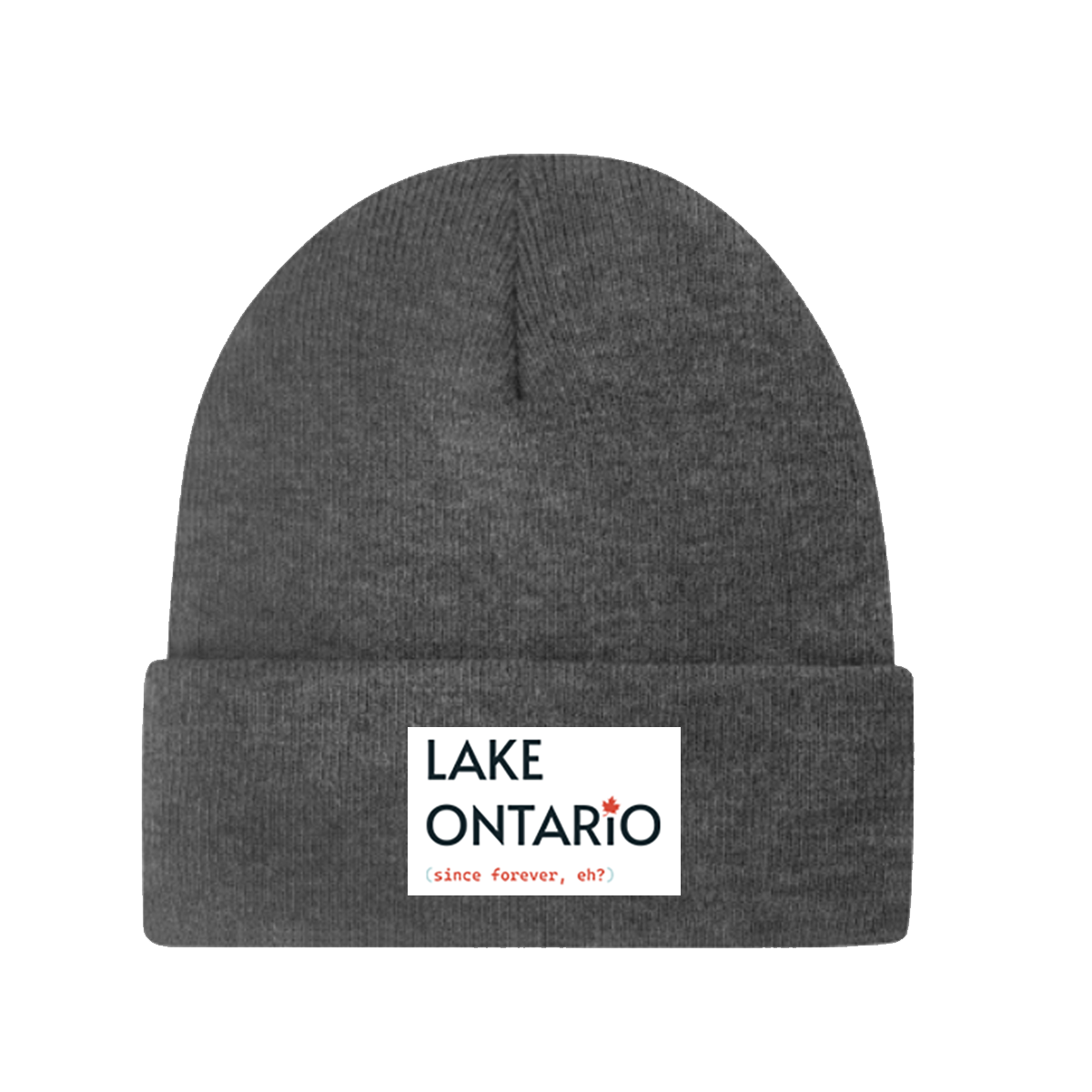 Warm fleece lined knit cuff toque